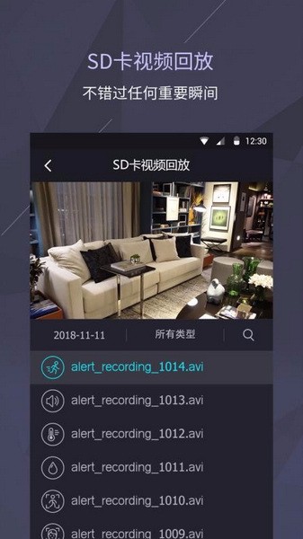 SD 卡回放界面